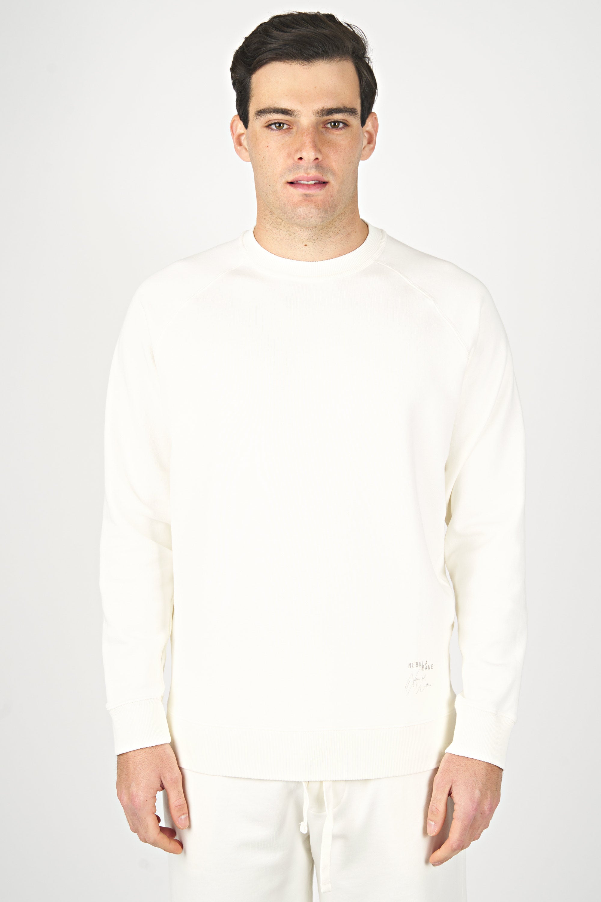 Raglan Sweatshirt in Supima Organic Cotton Nebula Mane S